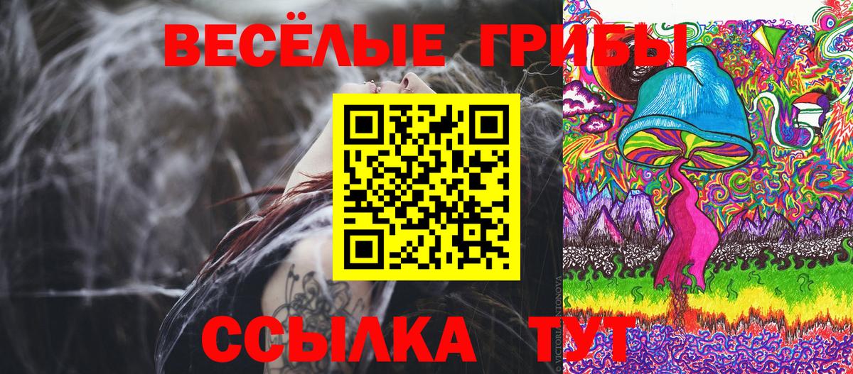 Дзержинск  купить наркотики цена  Вход с VPN  Псилоцибиновые грибы Psilocybine cubensis 